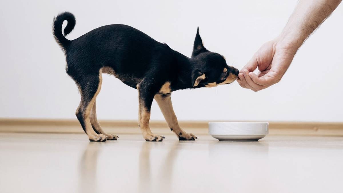    Фото: Shutterstock