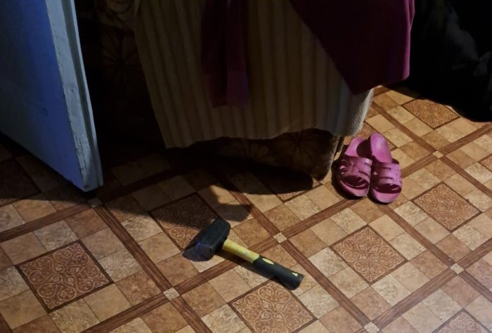 Фото СУ СК России по Новосибирской области.