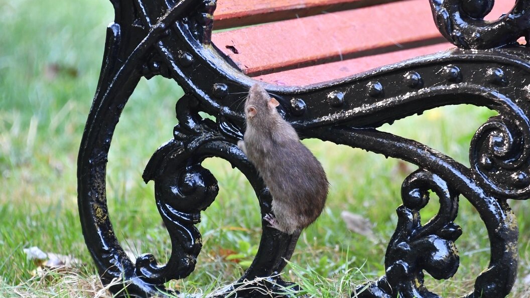    Komsomolskaya Pravda/Globallookpress