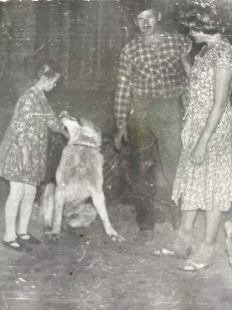 На фото мне лет 8-9. Моя самая любимая собака по кличке Вулкан, умнейший пес, хотя вид у него был очень грозным. Мама и папа рядом. Эта единственная фотография где мы все вместе ( фото автора)