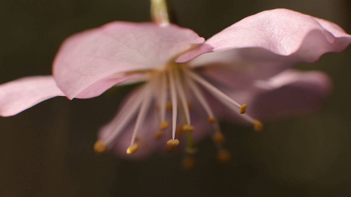    Фото: Анатолий Цымбалюк / Вечерняя Москва