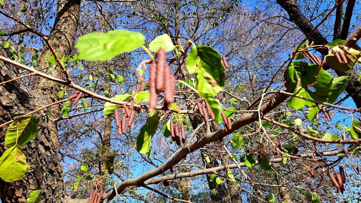 Авторское фото