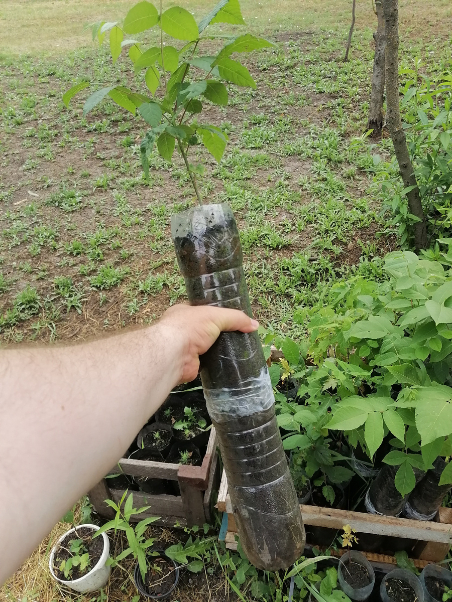 Вот такая примерно конструкция получилась