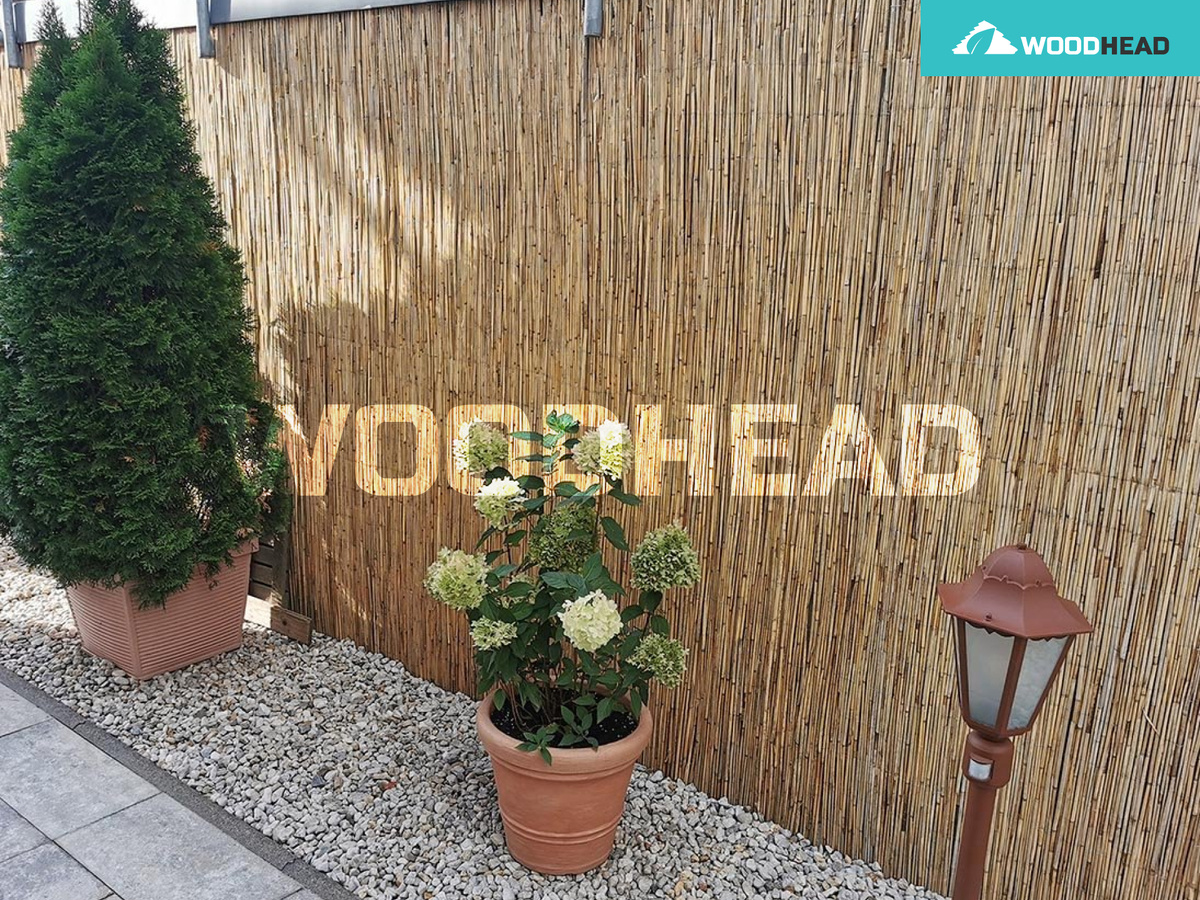 Камышовый рулонный забор