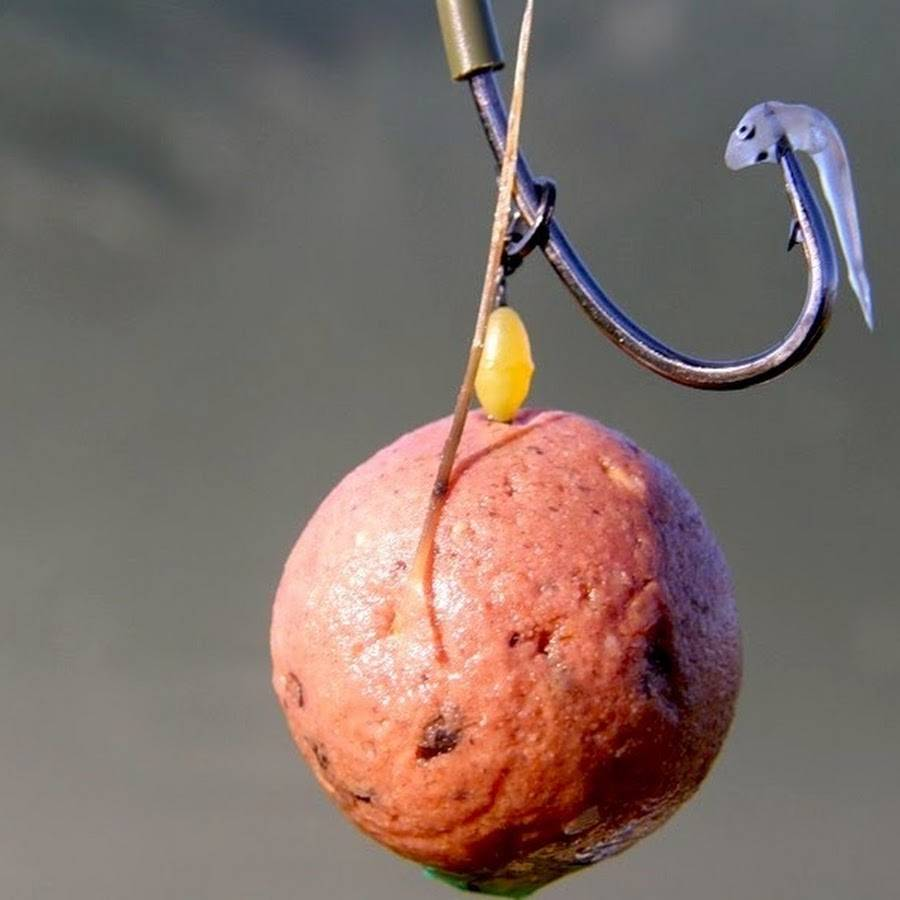 Фото с сайта: https://activefisher.net