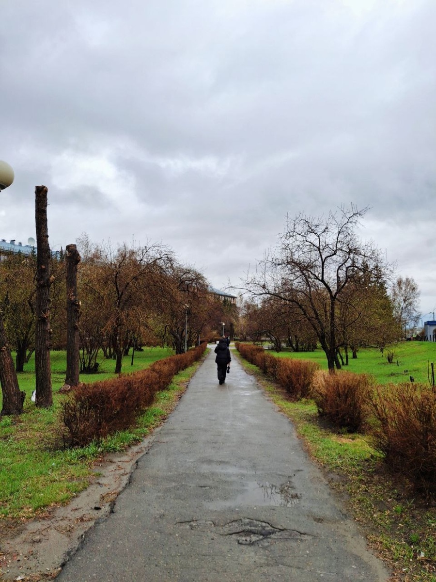 Сегодня сфотографировала