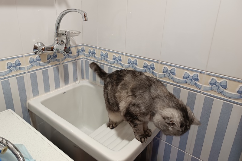 ...и покинула чат.