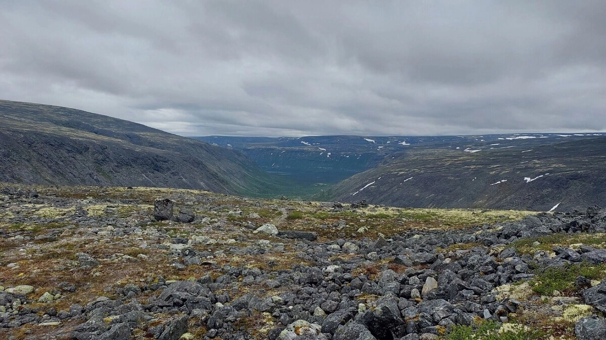     Источник: 1MI