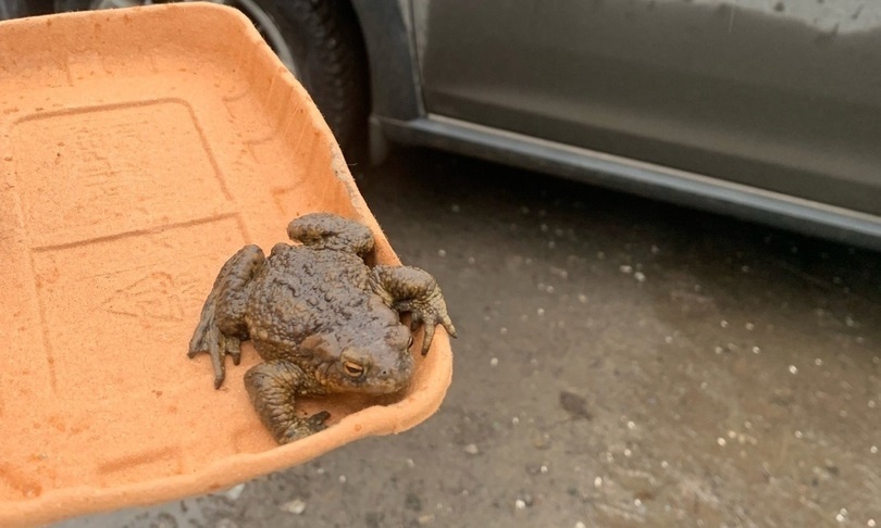    Фото: Надежда Баглей/VK Ульяна Бажанова