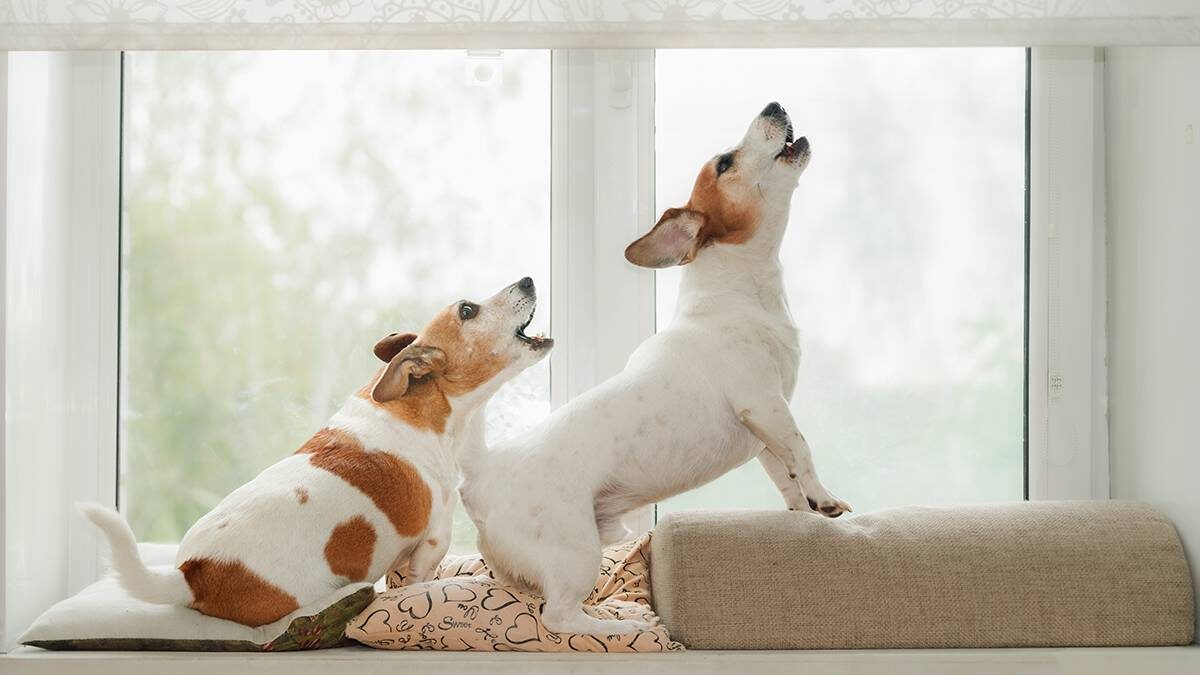    Фото: Shutterstock