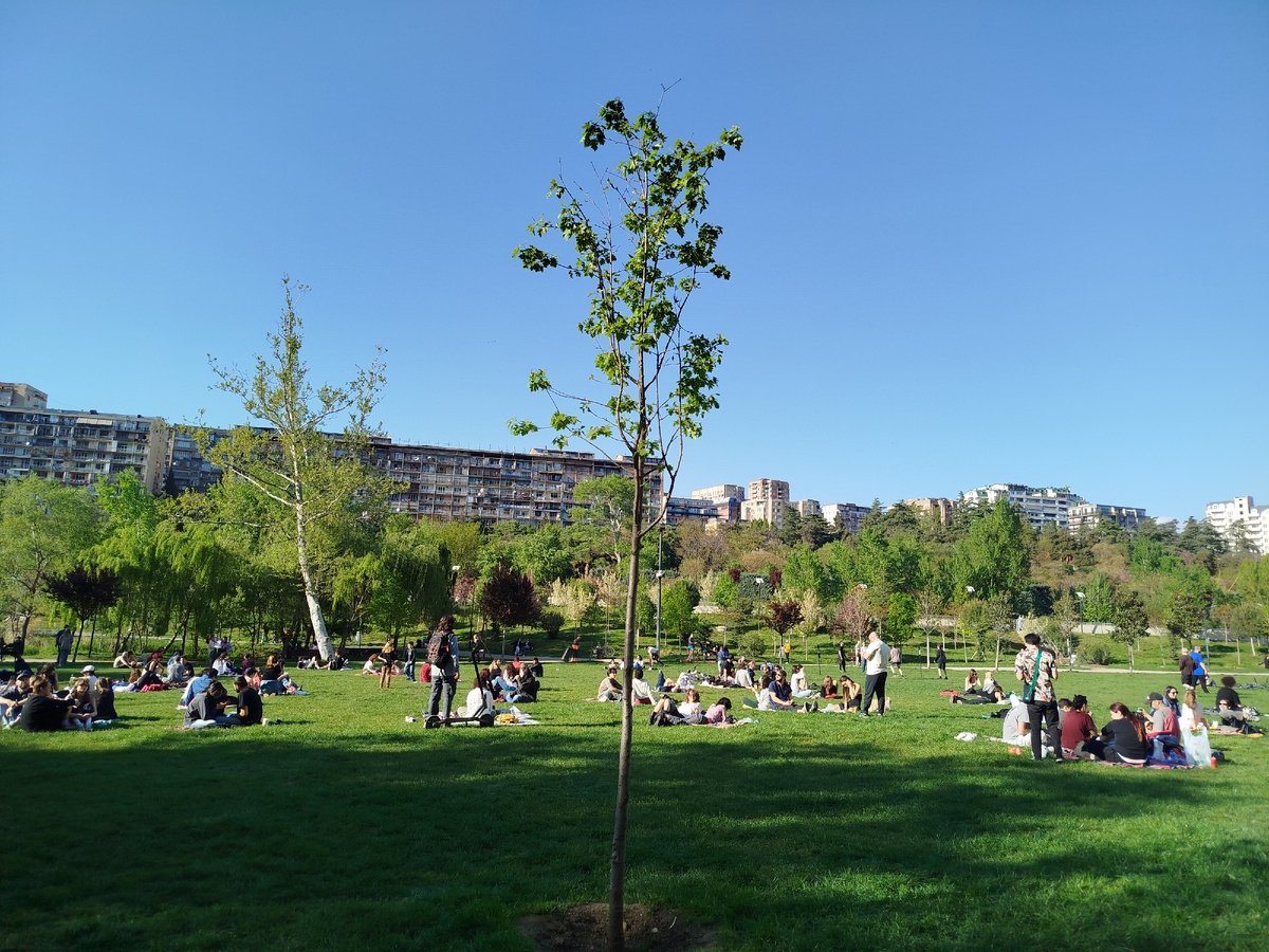 В парке Мзиури