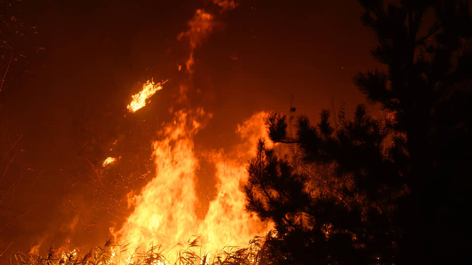 Фото: Олег Харсеев / Коммерсантъ