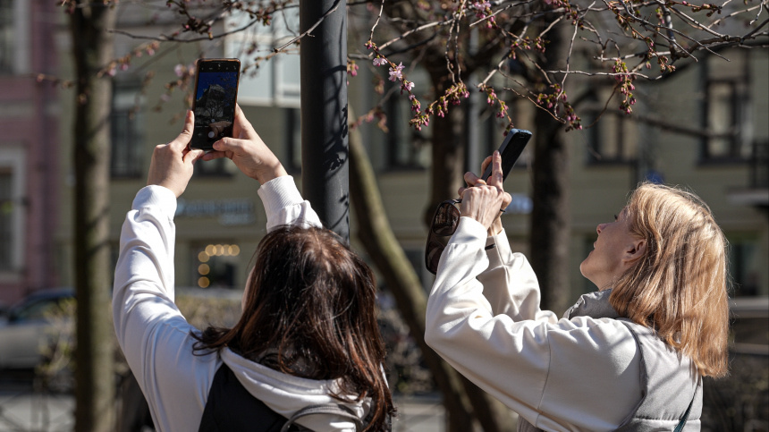    Фото: © РИА Новости/Алексей Даничев; 5-tv.ru