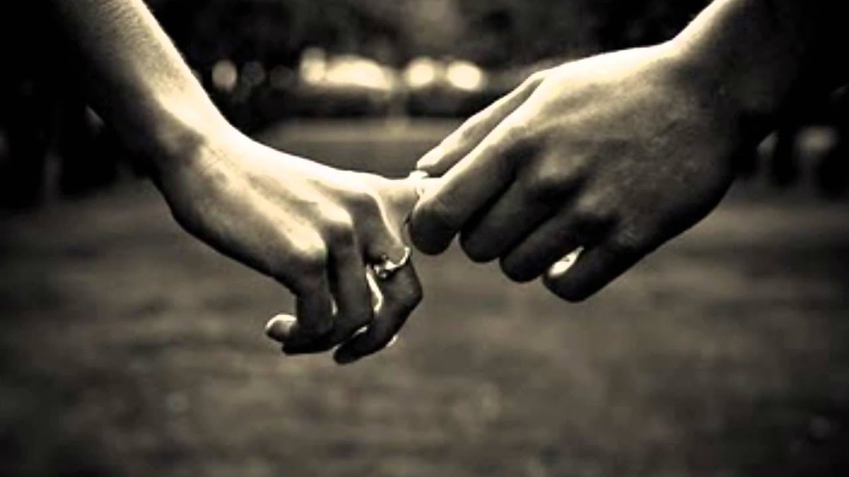 Яндекс Картинки.