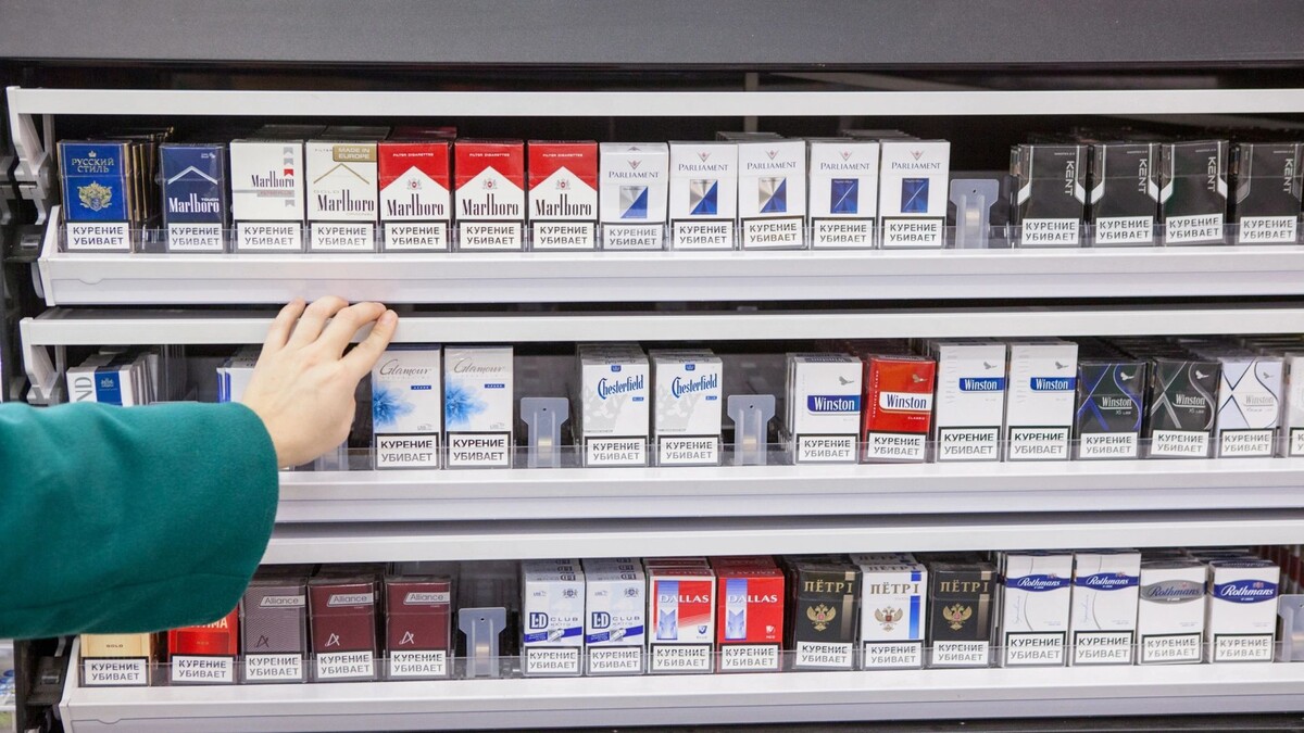    Фото: Kekyalyaynen/Shutterstock/Fotodom