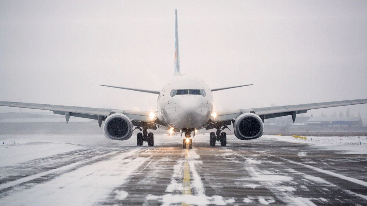    Фото: Alexey Lesik/Shutterstock/Fotodom