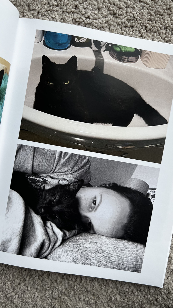 С любимыми кошками!