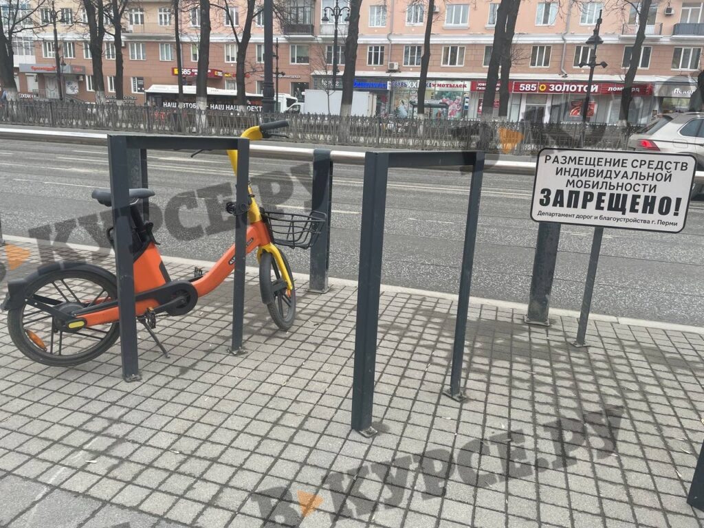    Фото: В курсе.ру Алена Калашникова