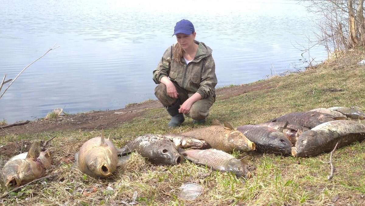     Автор: Александр Зыкин Источник: udm-info.ru