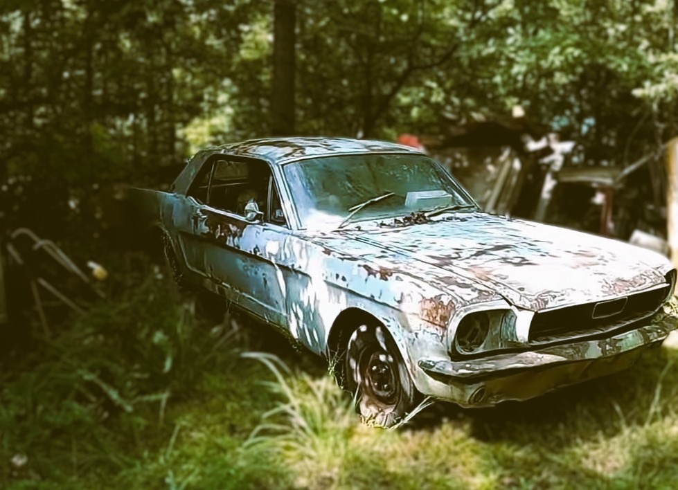 Источник Яндекс Картинки