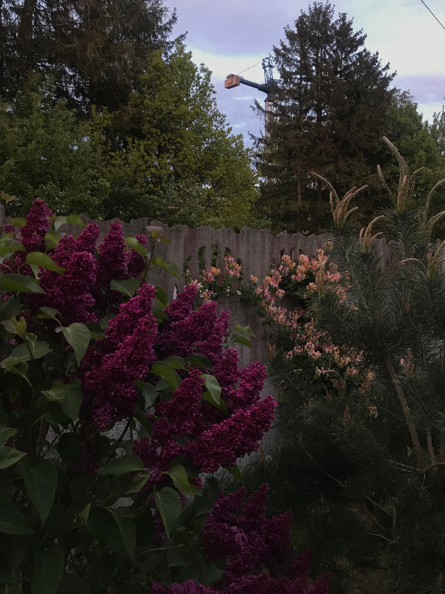 Из личного архива