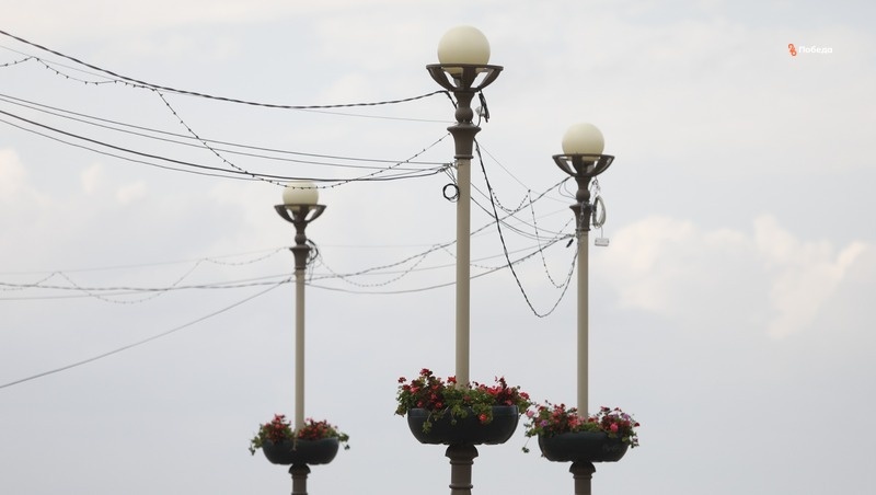      Фото: ИА «Победа26»