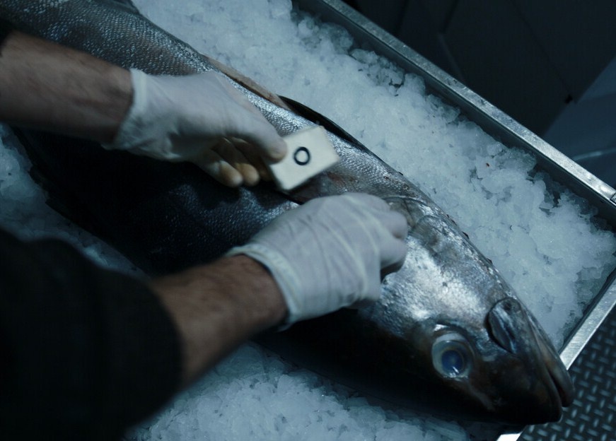 Кадр из фильма "Босс".