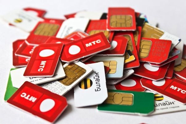    Фото правительства Ростовской области Василий Шеин