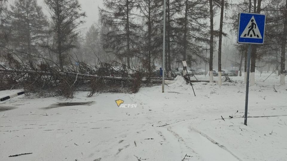    Последствия метели в Новосибирске . Источник: Телеграм-канал АСТ-54 Black