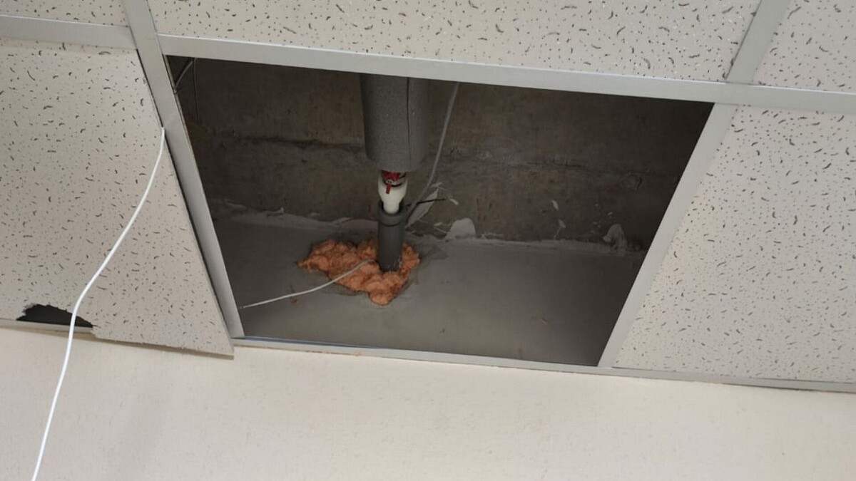    Фото: t.me/rosgvard_krasnodar