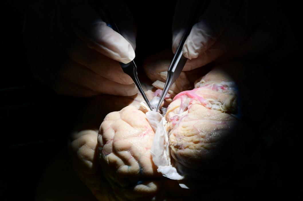 Сергей Елесин, ИА "Тюменская линия"