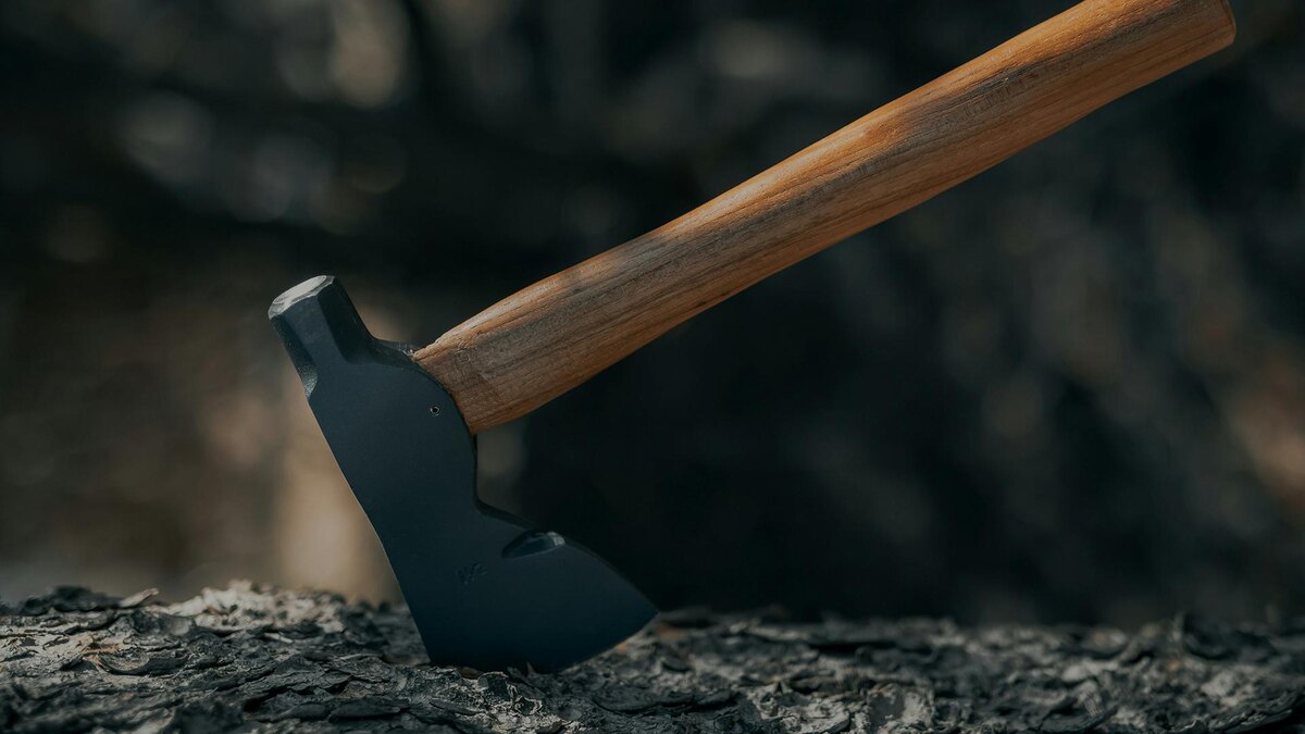    Фото: unsplash.com