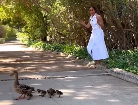 Из интернета.