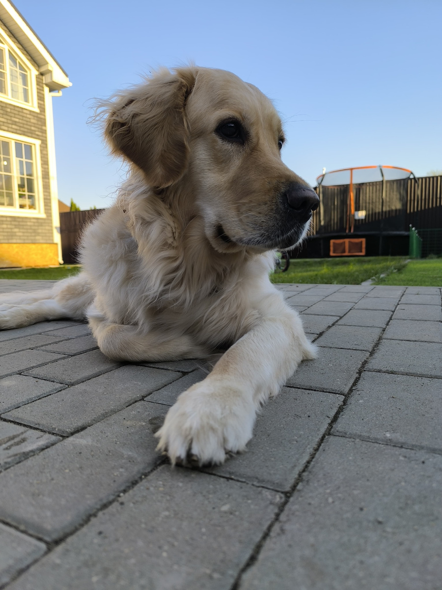 Фотки здесь и далее для разбавления текста - отдыхаем в хорошую погоду на нашем участке.