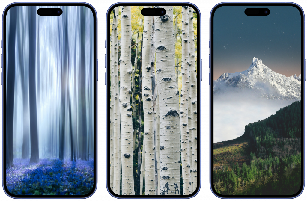    Скачать обои на телефон