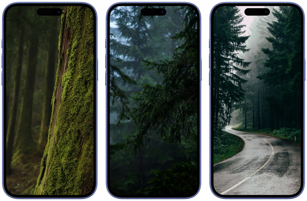    Скачать обои на телефон