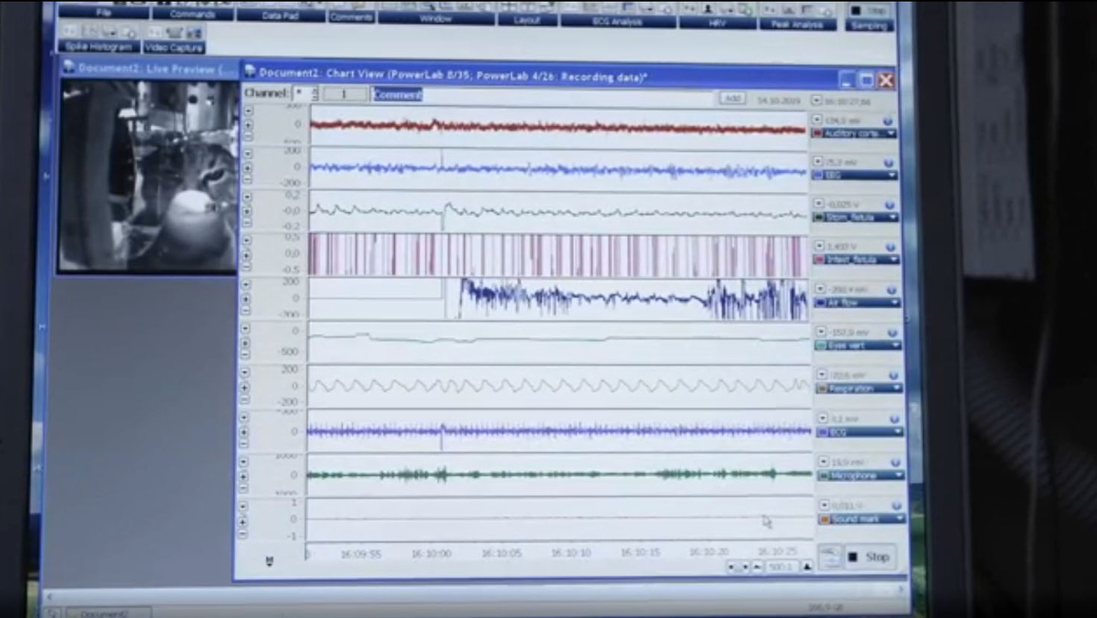 Кадр из фильма