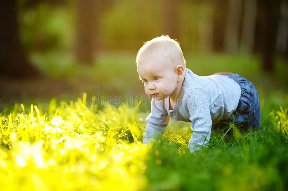 Фото из Яндекса 