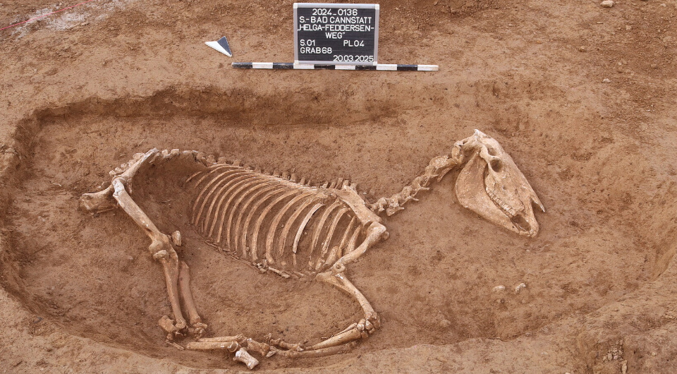   Landesamt für Denkmalpflege Stuttgart; ArchaeoBW