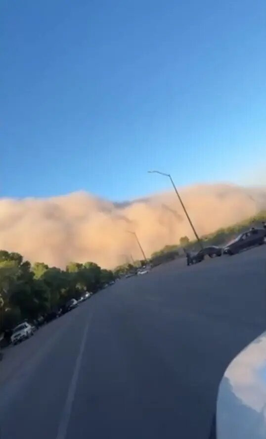    Фото: кадр видео из соцсетей