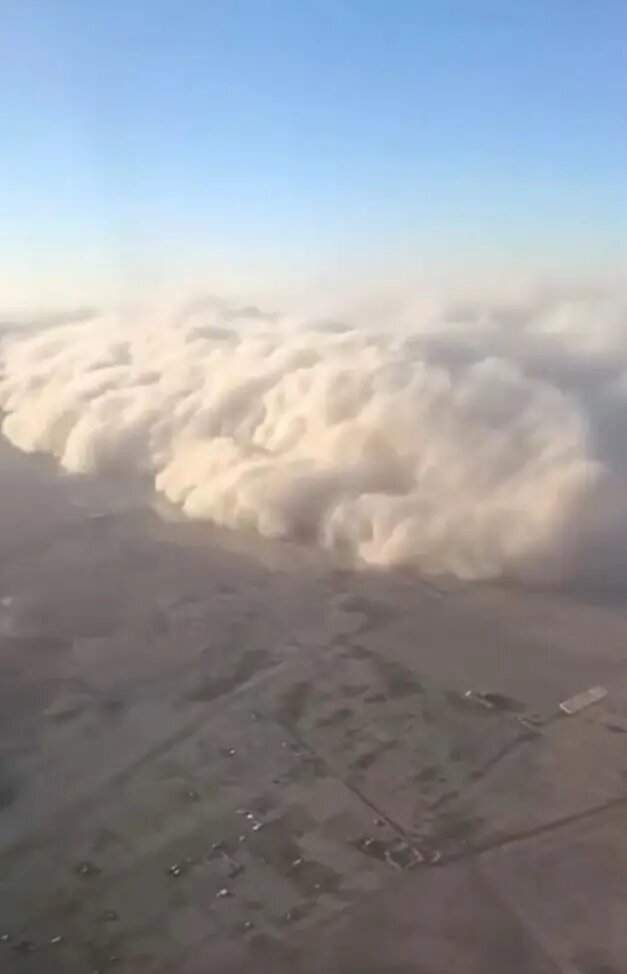    Фото: кадр видео из соцсетей