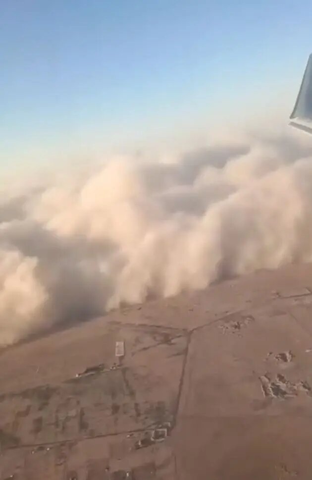    Фото: кадр видео из соцсетей