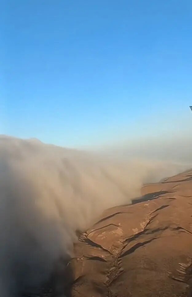    Фото: кадр видео из соцсетей