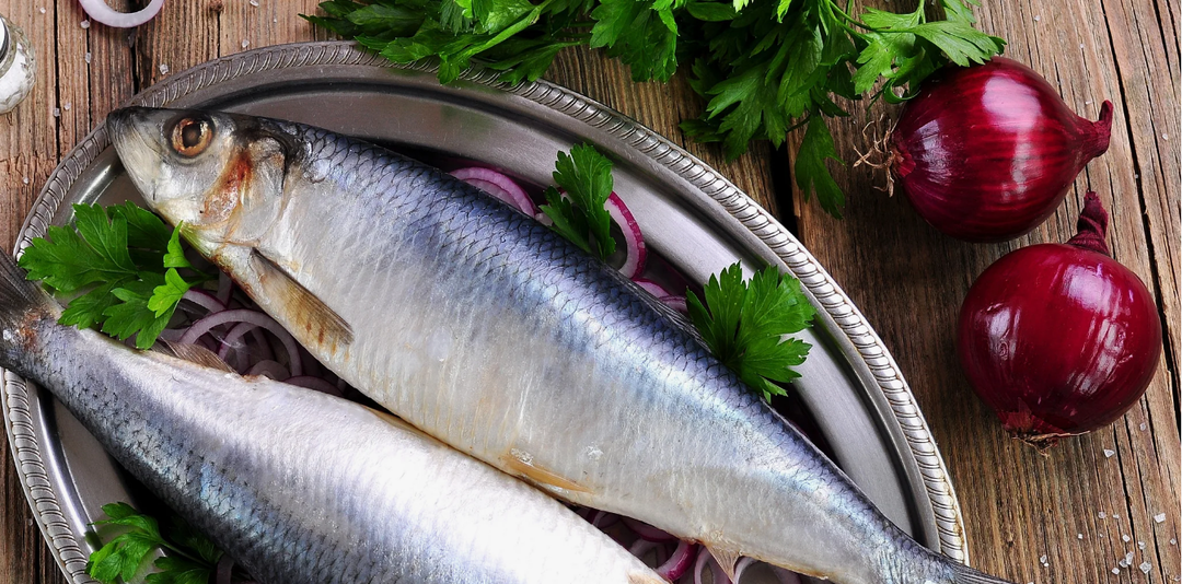 Тихоокеанская и атлантическая селедка. В чем разница и какая вкуснее