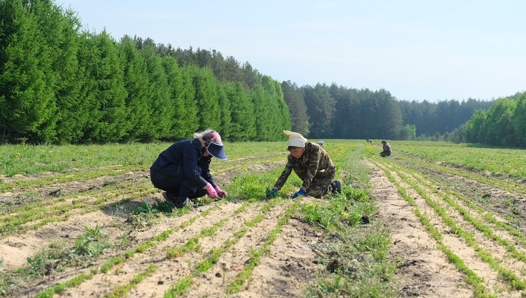    Фото из открытых источников