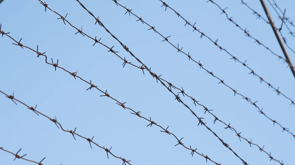 Фото: Олег Харсеев / Коммерсантъ