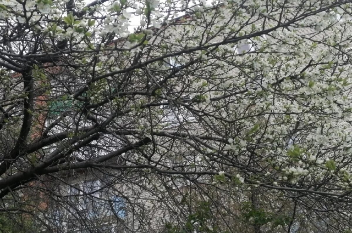    +27ºС и переменная облачность ожидаются в Пензенской области