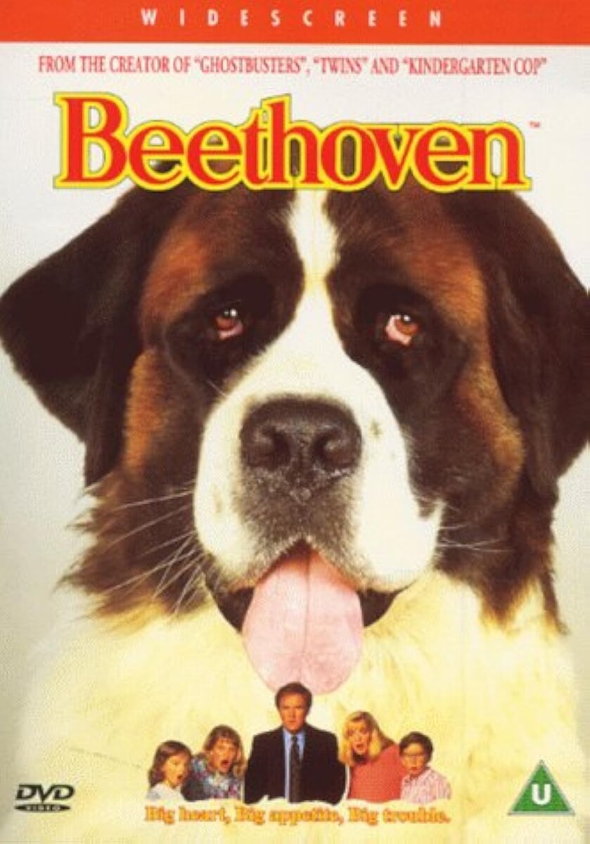 Постер фильма взятый с Яндекс картинки 