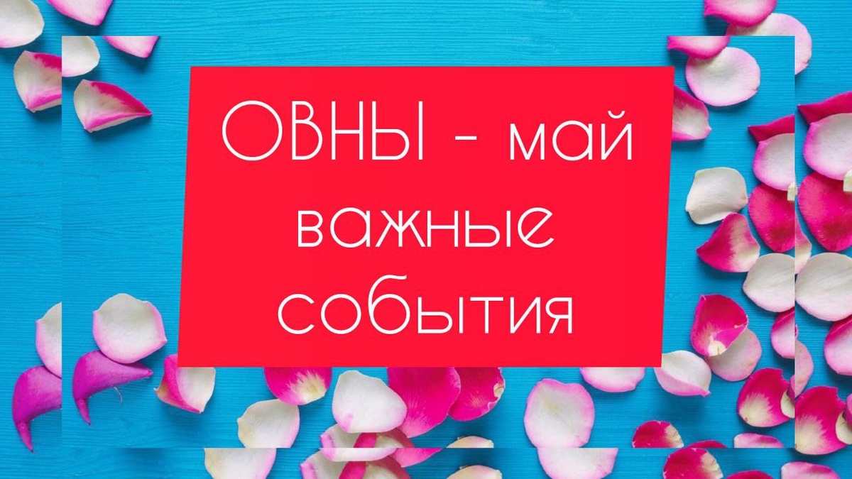 картинка принадлежит автору канала