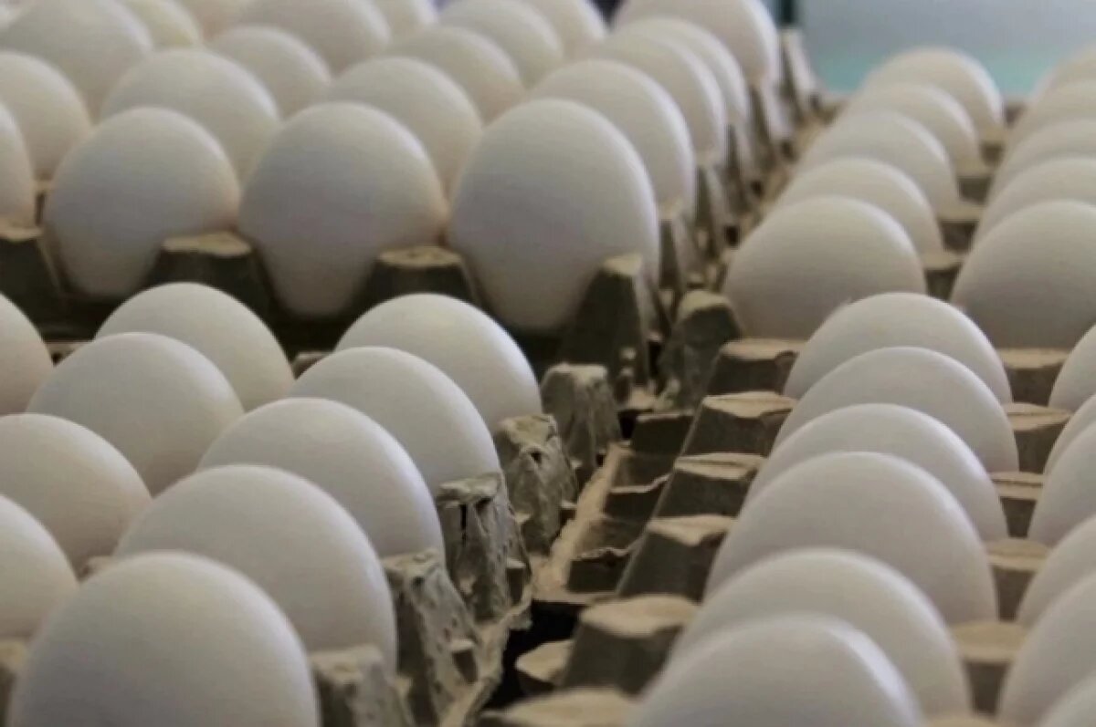    В Челябинской области задержали более 5 тысяч утиных яиц без документов